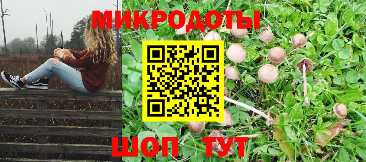 Артём  Псилоцибиновые грибы мицелий  Вход с VPN 
